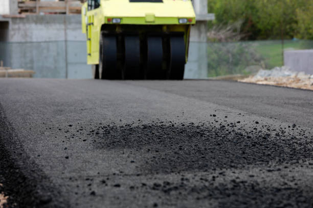 Best Interlocking Driveway Pavers  in Michigan City, IN